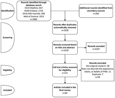 Use of non-medical cannabis in epilepsy: A scoping review